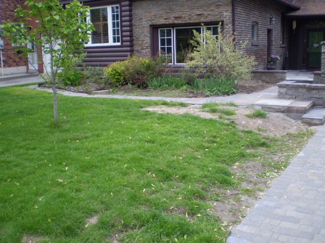 Front yard before landscaping